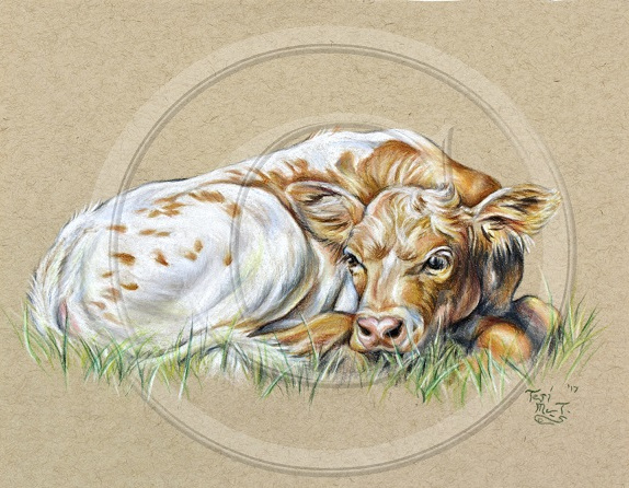 Cream_of_the_Crop_copyright_-_Copy